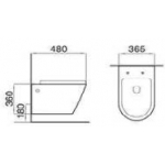 Richford R202 Rimless無框壁掛式座廁