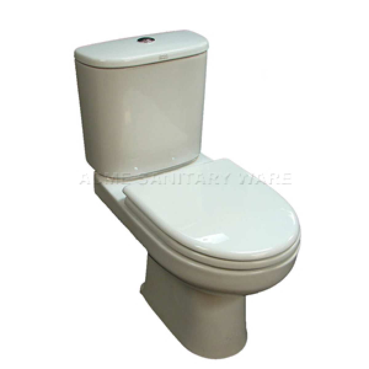 American Standard WP-3041 美標高咀分體座廁（連油壓廁板）