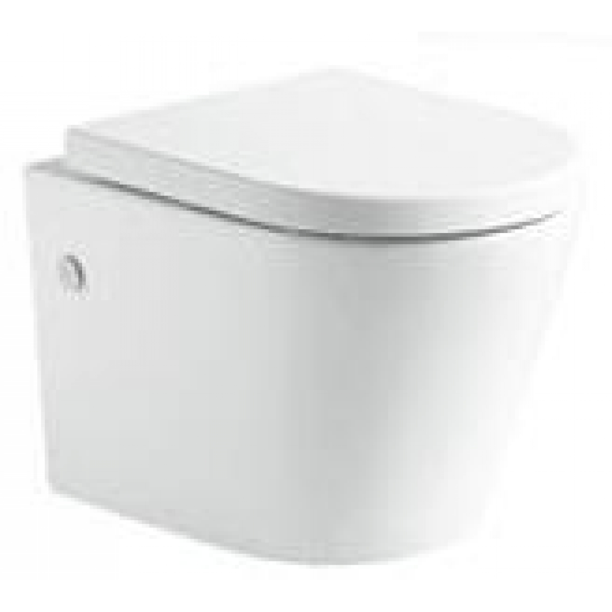 Richford R202 Rimless無框壁掛式座廁