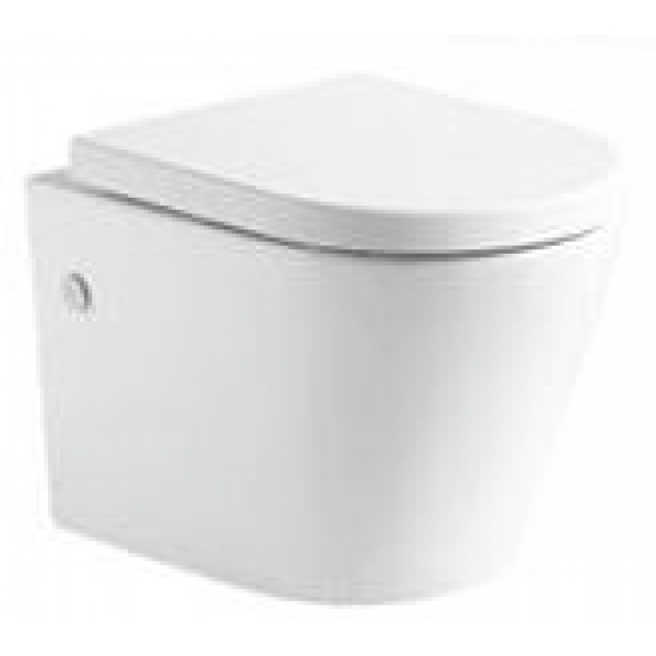 Richford R202 Rimless無框壁掛式座廁