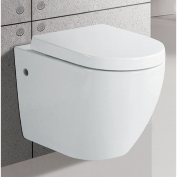 Richford R276 壁掛式座廁