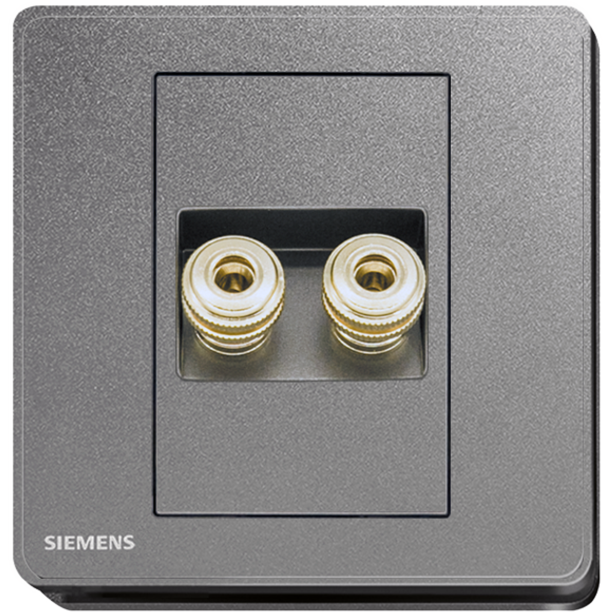 Siemens 西門子 5UH81813PC05 雙接線音響插座 (灰色)