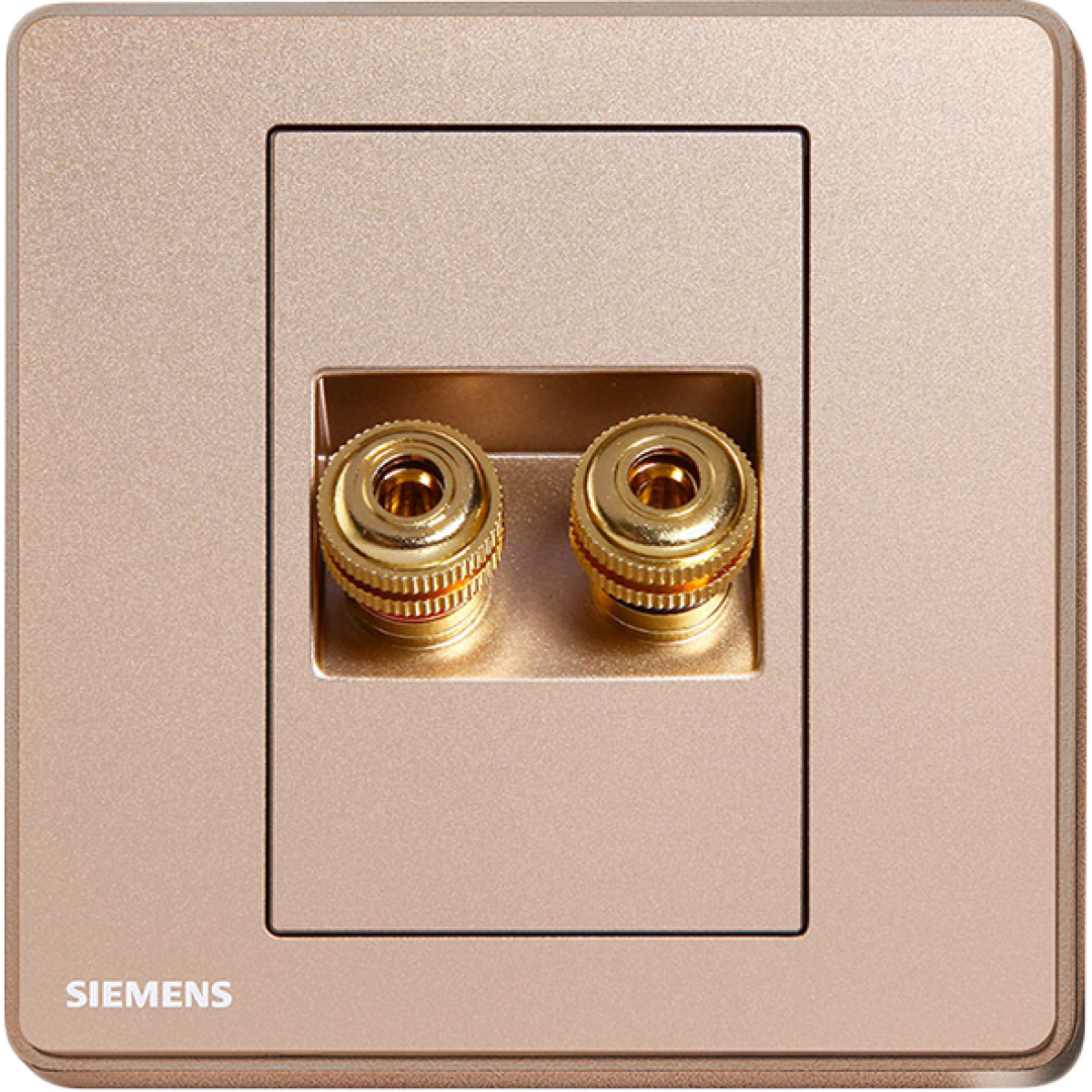 Siemens 西門子 5UH81813PC04 雙接線音響插座 (金色)