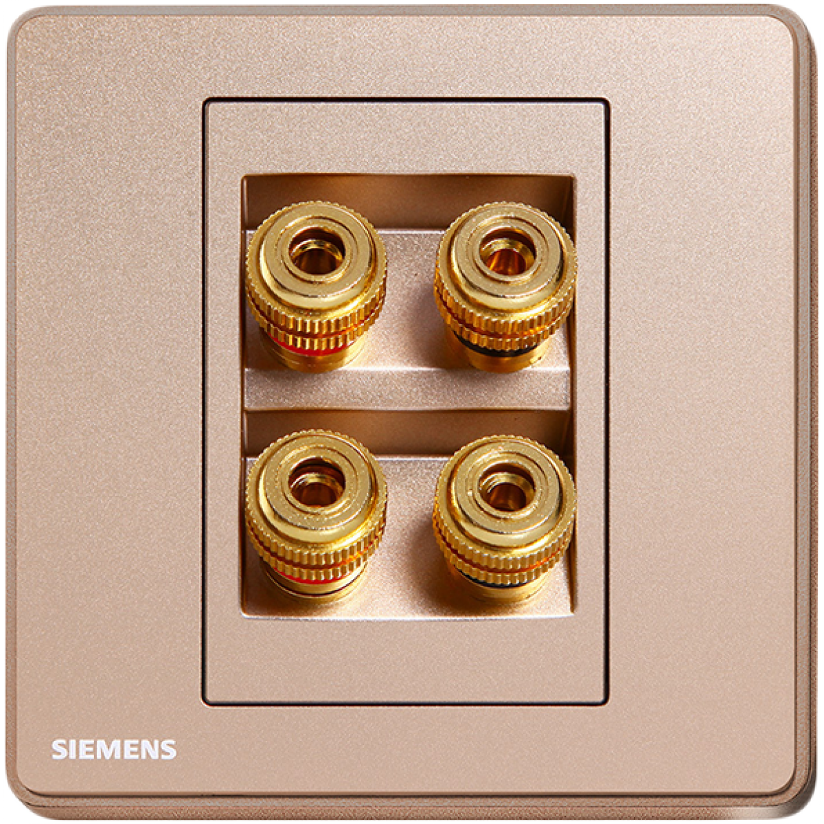 Siemens 西門子 5UH81823PC04 四接線音響插座 (金色)