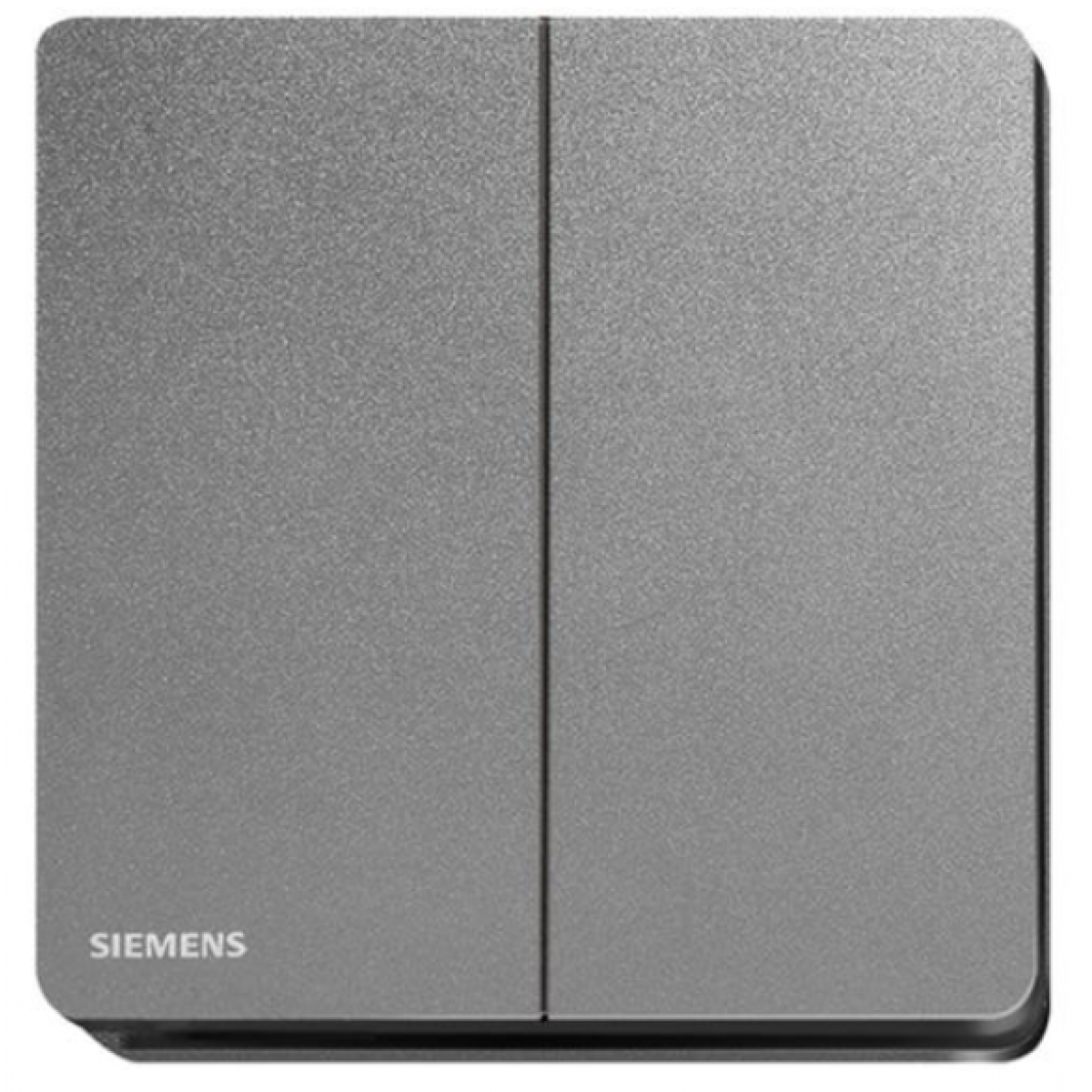 Siemens 西門子 5TA81243PC05 16AX雙位雙控開關掣 (銀灰色)