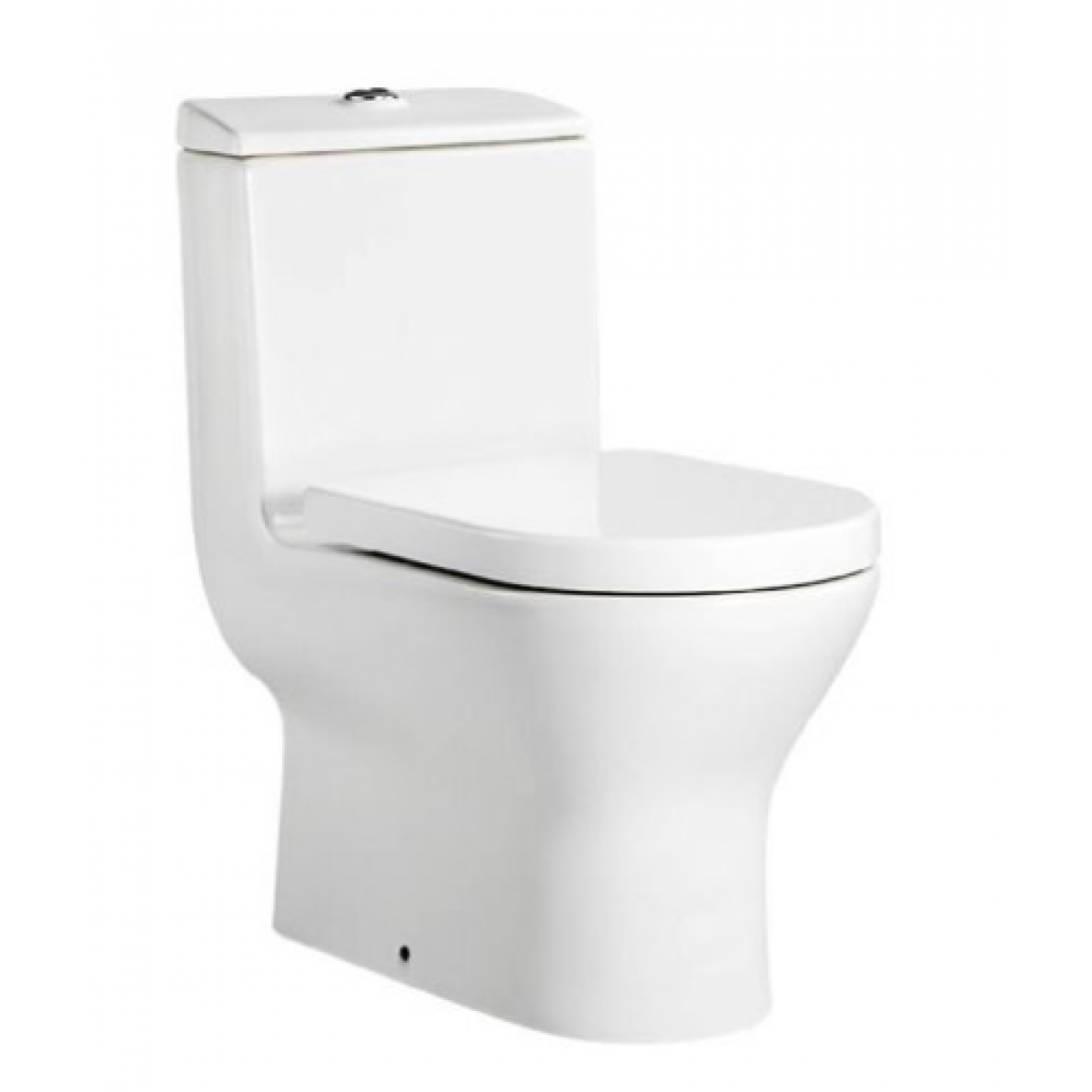 Roca 3496170CN Atis 自由咀連體座廁配歐樂油壓板套裝 (中國製)