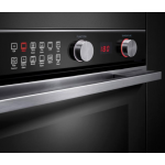 Fisher & Paykel OB60SD11PB1 77公升內置式電焗爐(Pyrolytic) 自潔功能