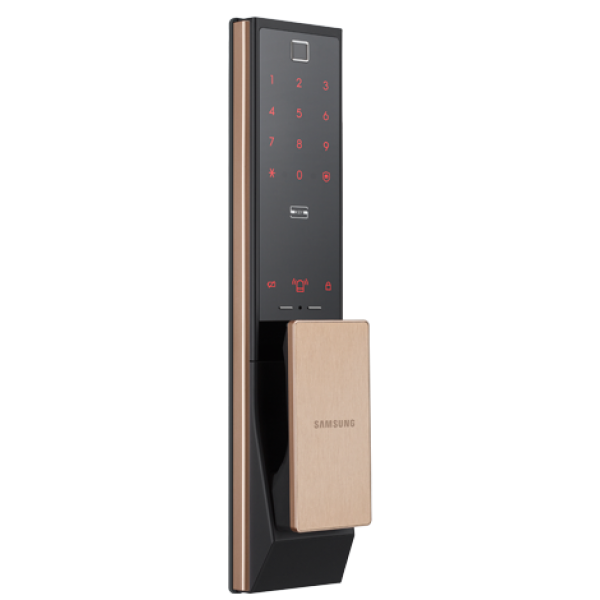 Samsung 三星 SAM-SHPDP739-GD (C) 指紋 智能電子門鎖 (金色)