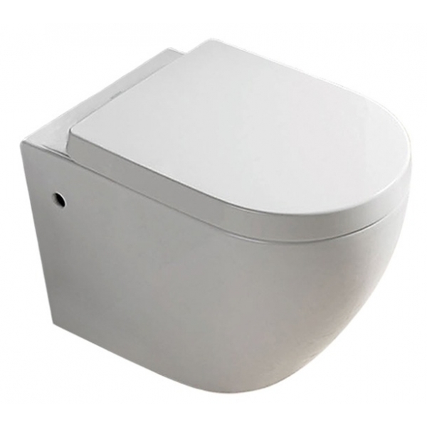 Walrus WR-130108 掛牆高咀座廁 (連緩降廁板及配件) - 掛牆式設計，節省空間