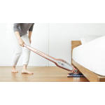 Electrolux ZB3114 Ergorapido®Lithium 2合1無線吸塵機 (玫瑰金)