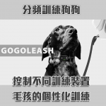 GoGoLeash 4合1智慧型多功能狗帶