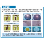 X-CUBE A420 多功能超聲波洗菜機 (臭氧淨化)