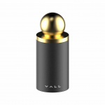 Vall DCVSP-01 火山石抗菌面部吸油棒 (金色圓頭)