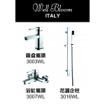 Well Bloom Italy 300WL 不銹鋼拉絲龍頭套裝