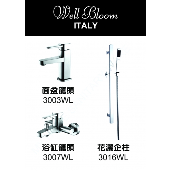 Well Bloom Italy 300WL 不銹鋼拉絲龍頭套裝