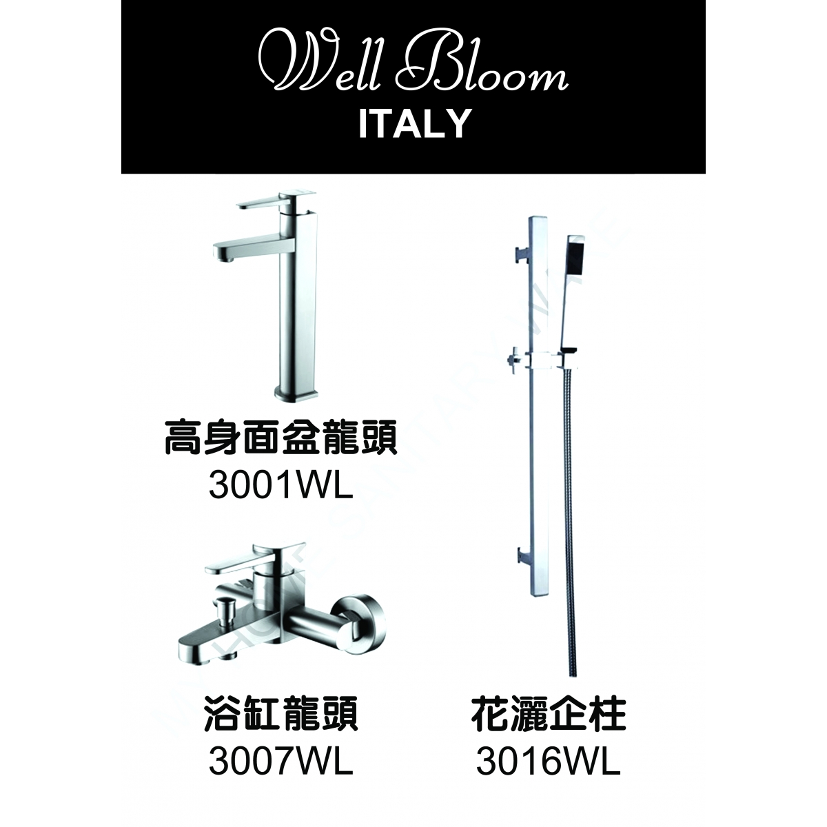 Well Bloom Italy 300WL2 不銹鋼拉絲龍頭套裝 (高身面盆龍頭)