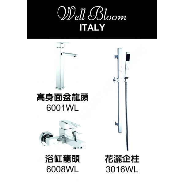 Well Bloom Italy 600WL2 不銹鋼拉絲龍頭套裝 (高身面盆龍頭)