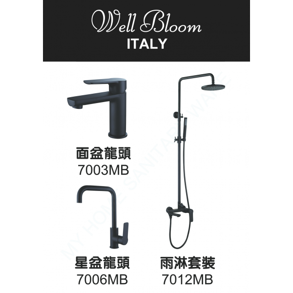 Well Bloom Italy 700MBR 純黑龍頭連雨淋套裝