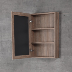 Richford RAL-5001M 太空鋁鏡櫃 (木紋色)