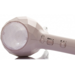 Zuanzhuan 鑽轉 10032428 陶瓷離子風筒 (無段變速)