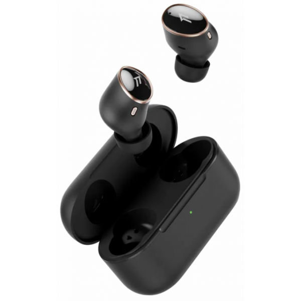 1MORE EC902-Black EVO 旗艦真無線主動降噪耳機 (鎏金黑色)