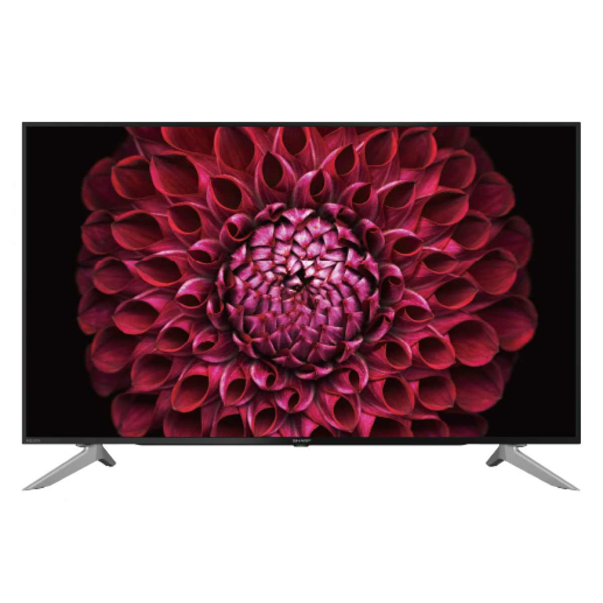 SHARP 聲寶 4T-C60DL1X 60吋 4K智能電視 (日本原裝面板)