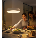 Philips 飛利浦 40339 Fair Hue 藍牙智能吊燈 (白色)