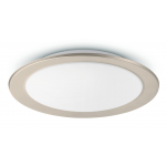 Philips 飛利浦 PH174 45037 Hue Muscari 黃白光吸頂燈