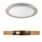 Philips PH175 45036 Muscari ceiling lamp LED Champagne