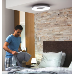 Philips 飛利浦 32613 Still Hue 藍牙智能吸頂燈 (黑色)