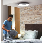 Philips 飛利浦 32613 Still Hue 藍牙智能吸頂燈 (白色)