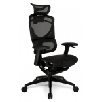 Zenox Nebula 人體工學辦公椅 (黑色)