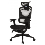 Zenox Nebula 人體工學辦公椅 (黑色)