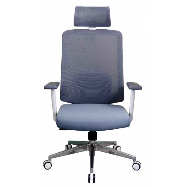 Zenox Joza 上座辦公椅 (灰色) - 透氣網布，S形靠背，內置腰枕支撐