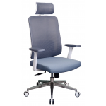 Zenox Joza 上座辦公椅 (灰色) - 透氣網布，S形靠背，內置腰枕支撐