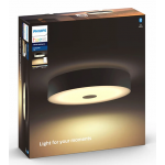 Philips 飛利浦 40340 Fair Hue 藍牙智能天花吸頂燈 (黑色)