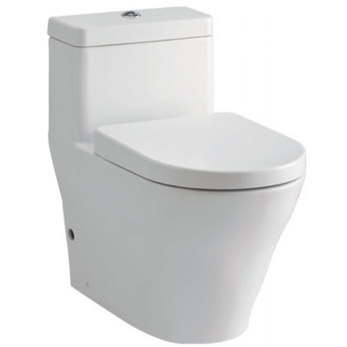 TOTO CW166RPB 自由咀連體座廁 (D type)