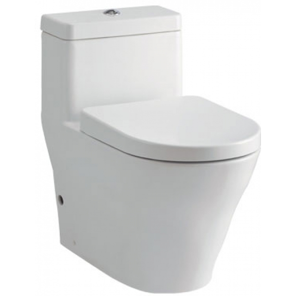 TOTO CW166RPB 自由咀連體座廁 (D type)