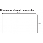 Rasonic 樂信 RIC-SNG211 2800W 雙頭電磁爐 附日本微晶石面板