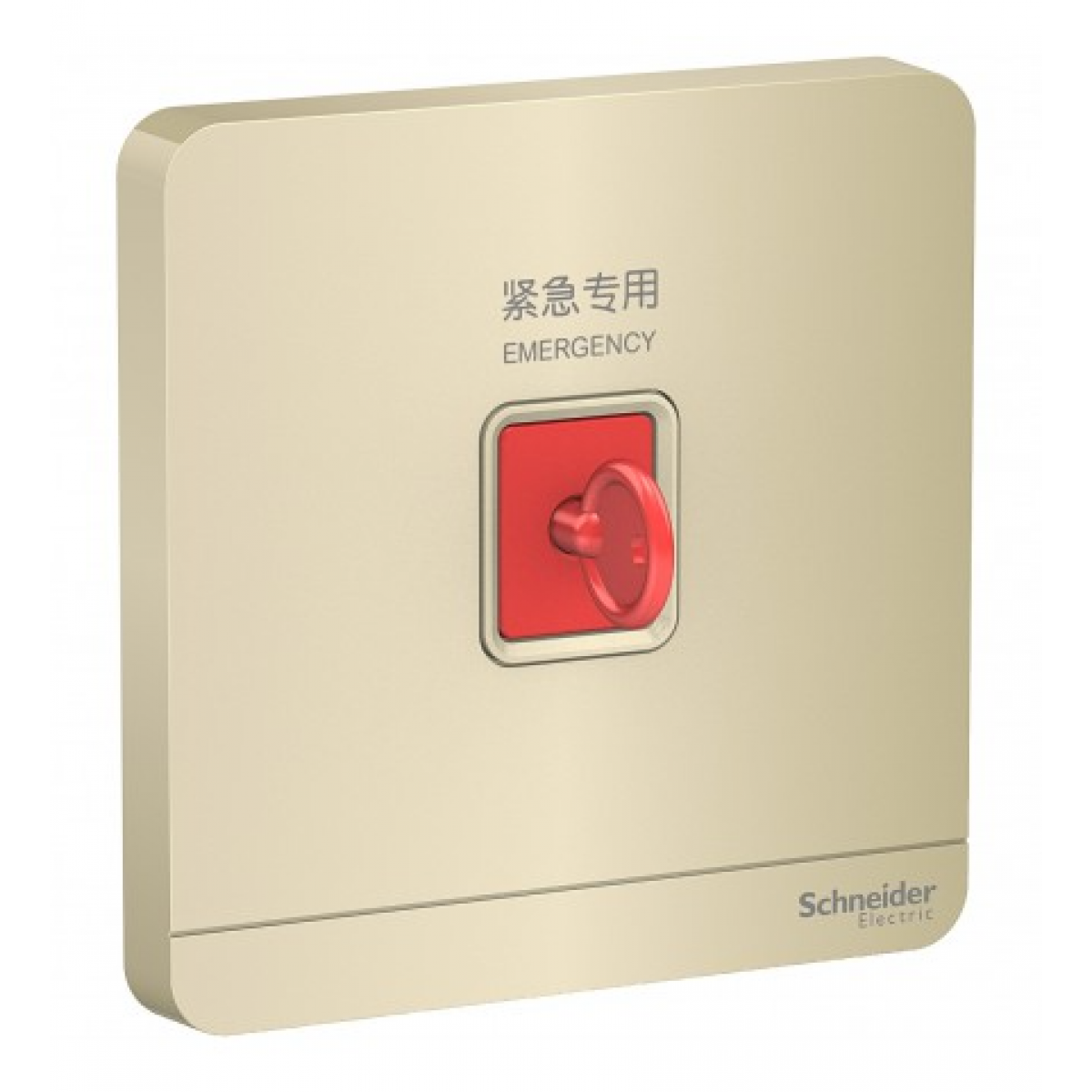 Schneider Electric 施耐德電氣 AvatarOn 緊急按鈕連鎖匙復位鍵 (沉醉金) (E8331KPB_WG_C5) - 3A額定電流、IP20防護