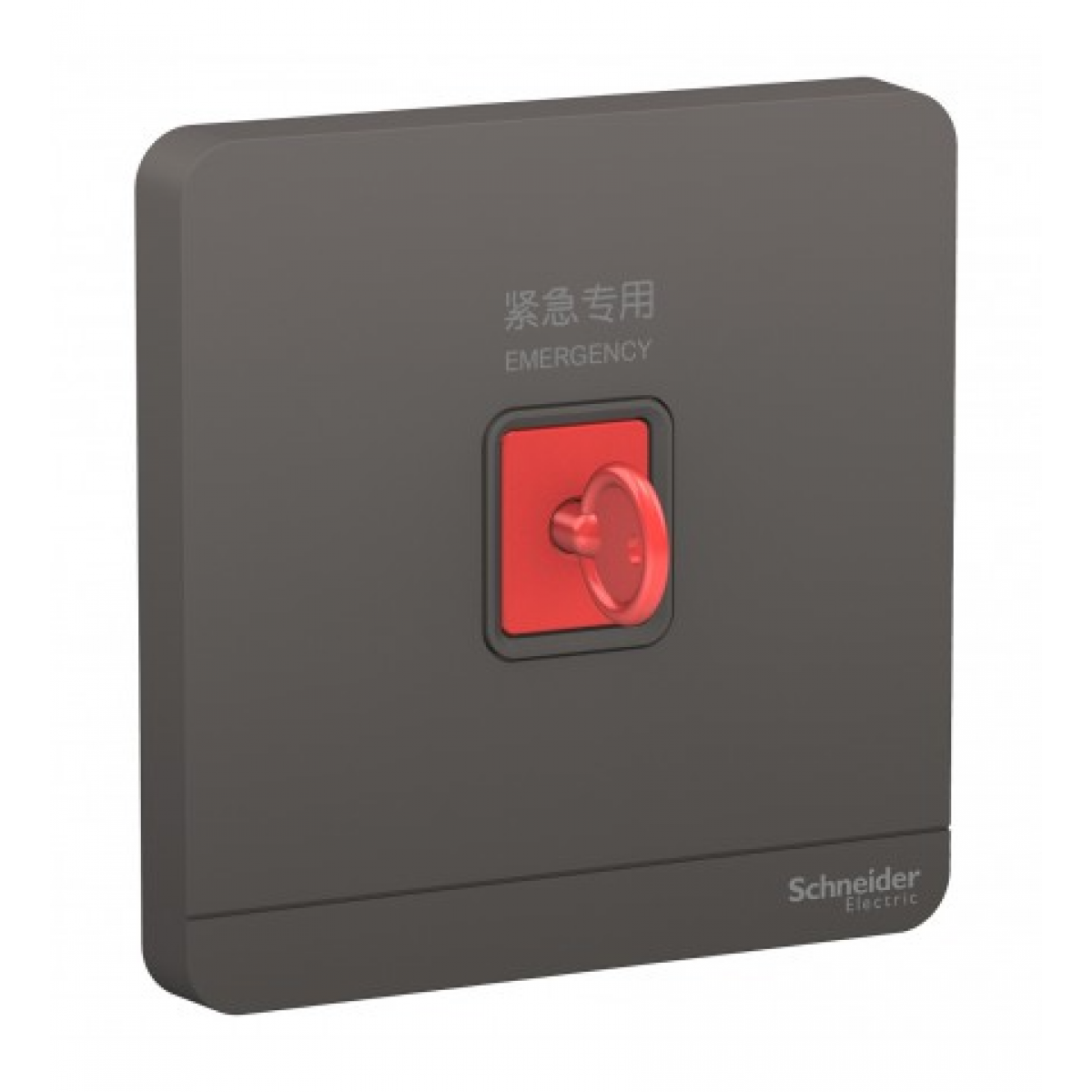 Schneider Electric 施耐德電氣 AvatarOn 緊急按鈕連鎖匙復位鍵 (石墨灰) (E8331KPB_DG_C5) - 3A額定電流、IP20防護