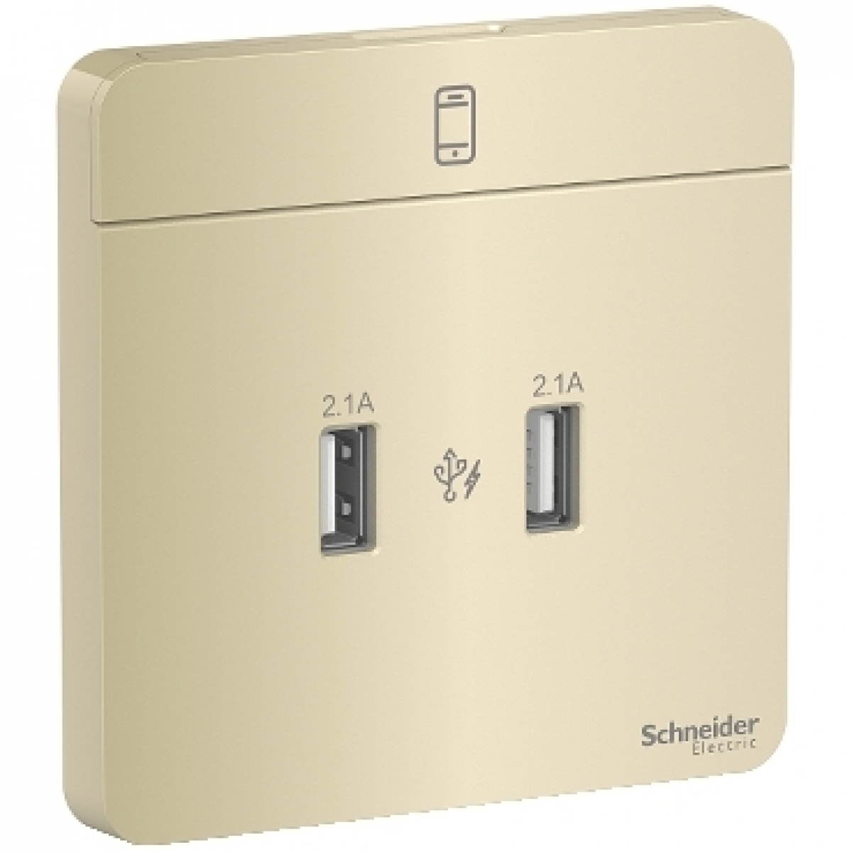 Schneider Electric 施耐德電氣 AvatarOn 兩位2.1A USB充電插座 (沉醉金)
