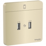 Schneider Electric 施耐德電氣 AvatarOn 兩位2.1A USB充電插座 (沉醉金) (E8332USB_WG_C5)