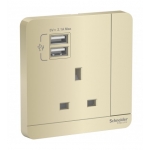 Schneider Electric 施耐德電氣 AvatarOn 13A 單位有掣電源插座連雙位USB充電插座 (沉醉金) (E8315USB_WG_C5)