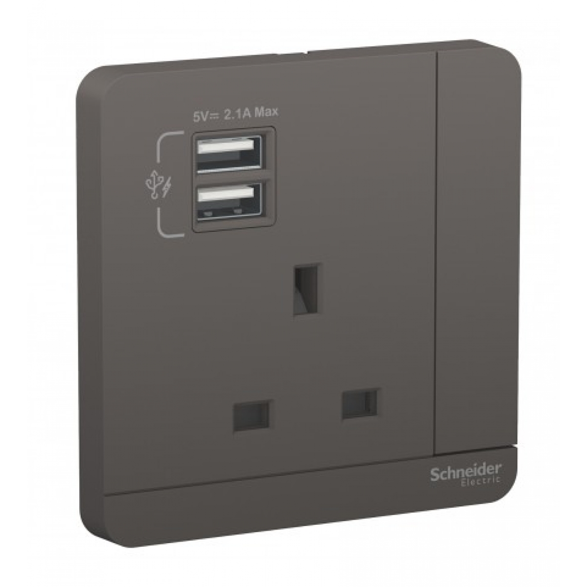 Schneider Electric 施耐德電氣 AvatarOn 13A單位有掣電源插座連雙位USB充電 (石墨灰)