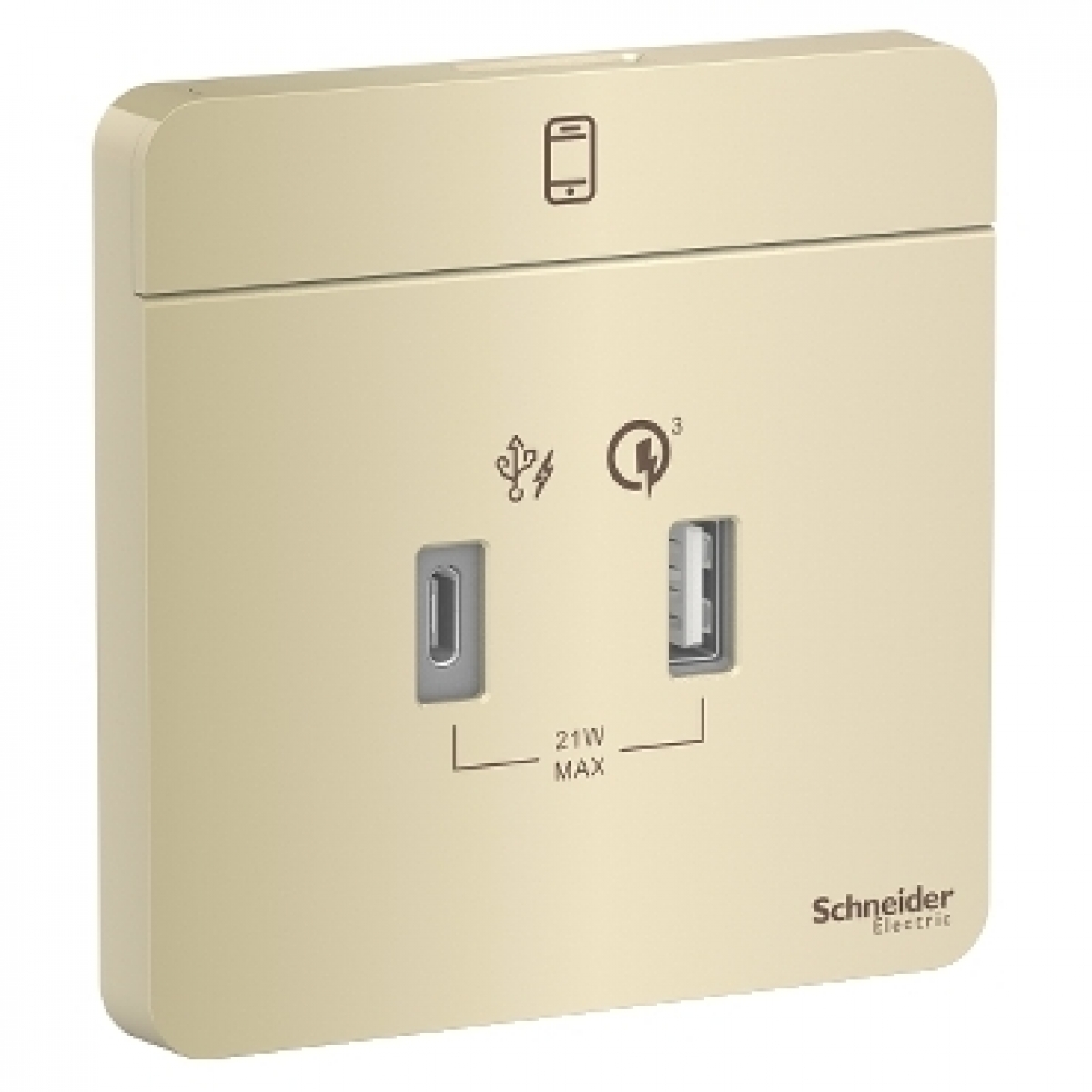 Schneider Electric 施耐德電氣 AvatarOn 45W雙位USB快速充電插座 (Type A+C/沉醉金)