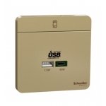Schneider Electric 施耐德電氣 AvatarOn 45W雙位USB快速充電Type A+C (沉醉金) (E832USB45_WG)