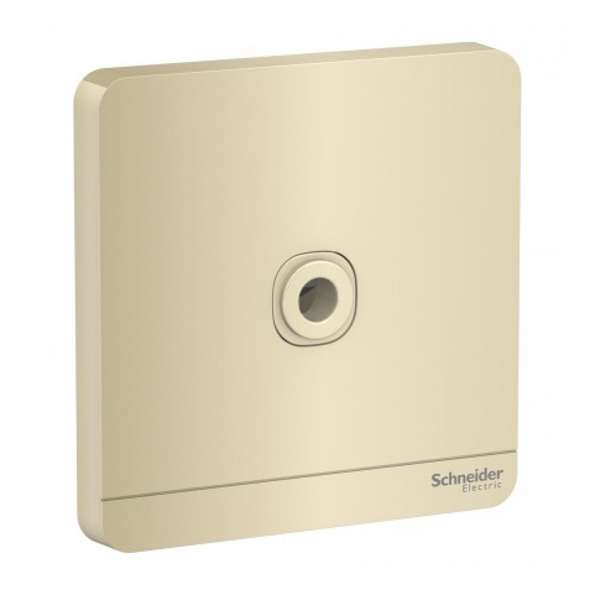 施耐德電氣 AvatarOn 25A 單位接線蘇 (沉醉金) - 附LED燈，符合BS 5733標準