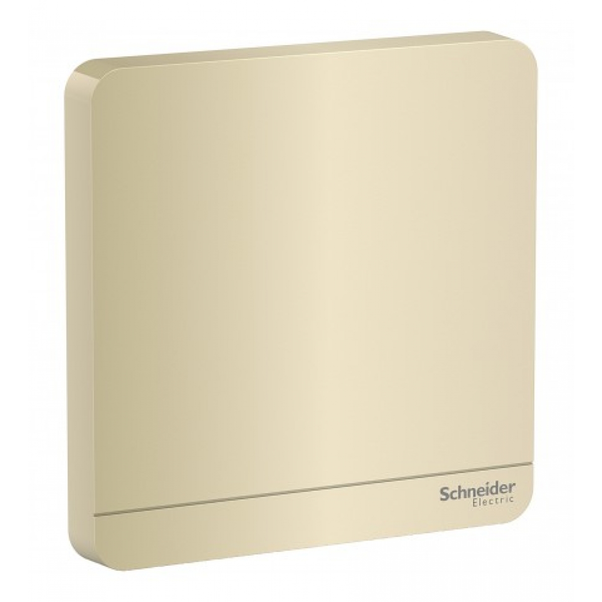 施耐德電氣 AvatarOn 單位空白掣面 (沉醉金) - 86x86mm，抗紫外線，聚碳酸酯材質