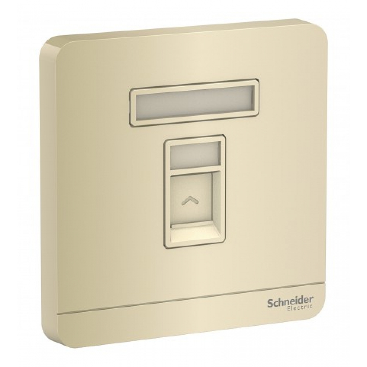 Schneider Electric AvatarOn 單位RJ45八線5e類數據插座 (沉醉金)
